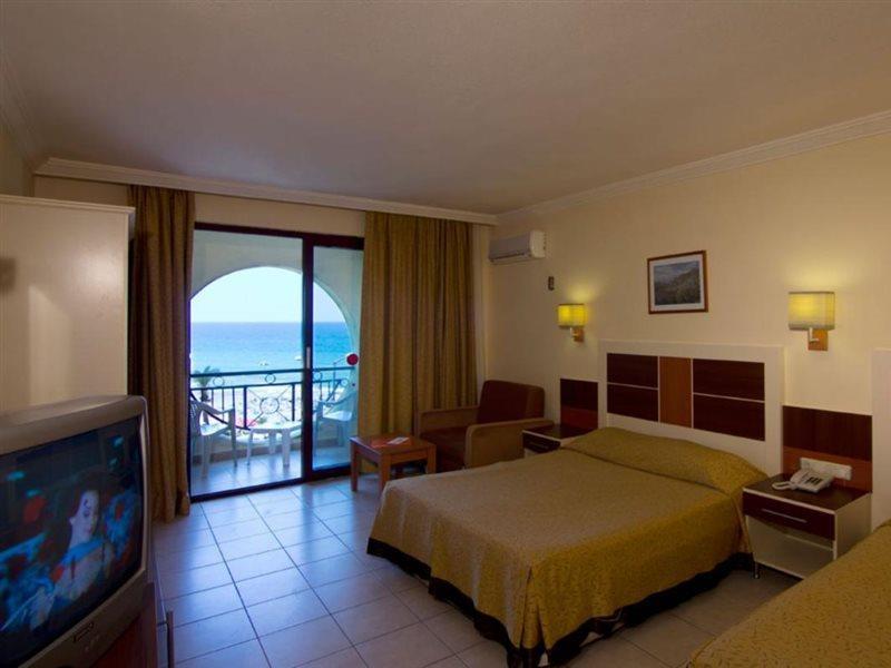 Kaila Krizantem Alanya
